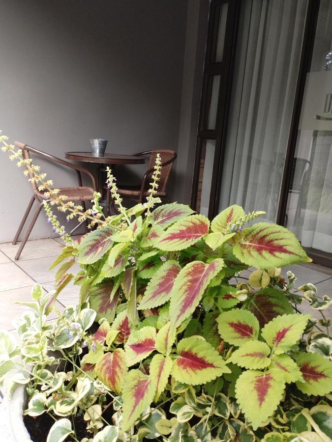 Ditsaleng Bed And Breakfast Vanderbijlpark Luaran gambar